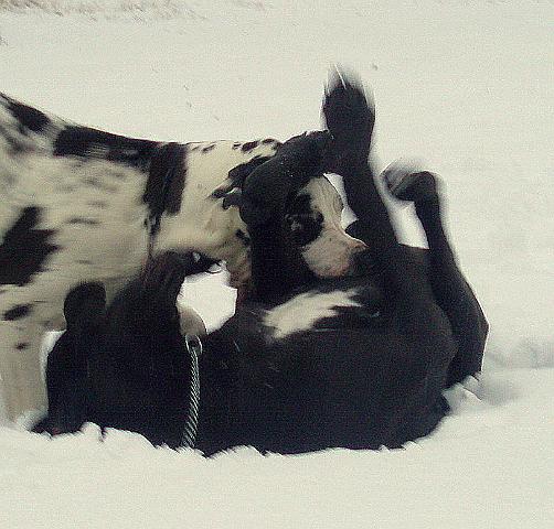 P1010085