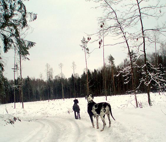 ziema20